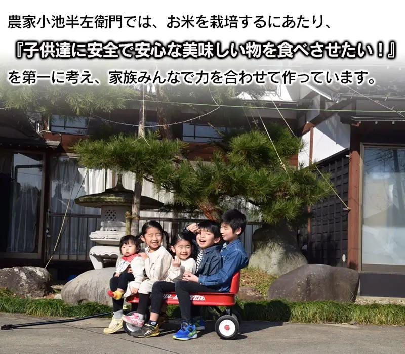 数量限定 【令和7年産】 山形県庄内産 小池半左衛門のお米 特別栽培米 つや姫 玄米 5kg (5kg×1袋)　