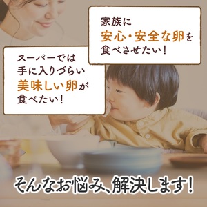 さかもとのたまご「ご来店お持ち帰り用券」合計300個 (10個×30パック)｜坂本養鶏 大山の麓で育ったさかもとのたまご 赤玉卵 玉子 鶏卵 [0087]