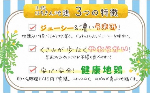 大川村土佐はちきん地鶏まるごと一羽おためしセット 計約1kg