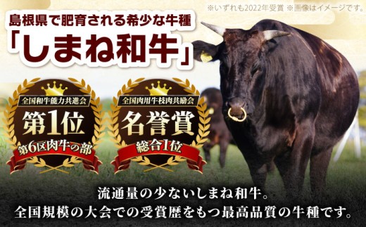 牛肉 ステーキ【訳あり】サイコロステーキ 黒毛和牛 しまね和牛 日本一 和牛 お子様 パクパク 200g×2Ｐ 計400g おすすめ 人気 訳アリ わけあり 不揃い 規格外 国産牛 牛肉 お肉 肉 焼