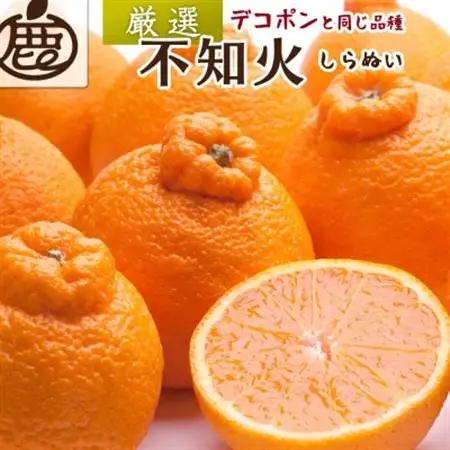 厳選 不知火5kg+250g(傷み補償分)【デコポンと同品種・人気の春みかん】【配送不可地域：離島・北海道・沖縄県】【1633610】
