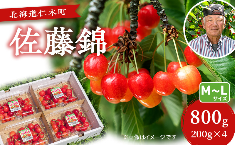 さくらんぼ【 佐藤錦 】800g（200g×4）M-Lサイズ混合  サクランボ チェリー フルーツ 果物 果物類 ギフト 北海道 仁木町 仁木 [横山農園]