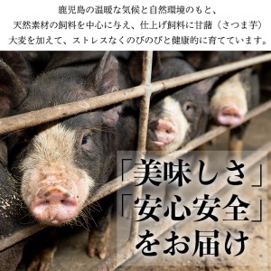 No.402 鹿児島県産黒豚肉使用！黒豚ロース味噌漬けと炭焼き焼豚詰め合わせ(合計420g)国産 九州産 黒豚 豚肉 ロース 味噌漬け 焼き豚 焼豚 味付き 焼くだけ 惣菜 おかず 弁当 小分け 冷蔵