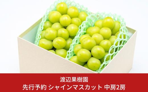 先行予約 中房シャインマスカット2房 (約1kg) 令和8年度 贈答用 シャインマスカット 新潟県 三条市産 ぶどう [渡辺果樹園] 【018S031】
