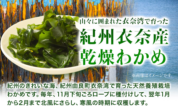 紀州衣奈産 乾燥わかめ 450g 150g×3パック 2024年産《30日以内に出荷予定(土日祝除く)》 和歌山県 日高町  ワカメ お味噌汁 サラダ 酢の物  スマイル