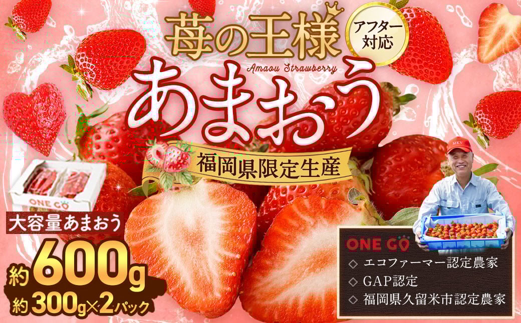 【寄附額改定↓】【予約受付】選べる大容量あまおう 600g 大粒 不揃い 選べる大容量あまおう （2L,グランデ,DX デラックス）減農薬 あまおう いちご 高級 いちごあまおう イチゴ 苺 フルーツ 果物 ふるさと納税くだもの amaou 福岡県 【2026年3月上旬～下旬発送予定】