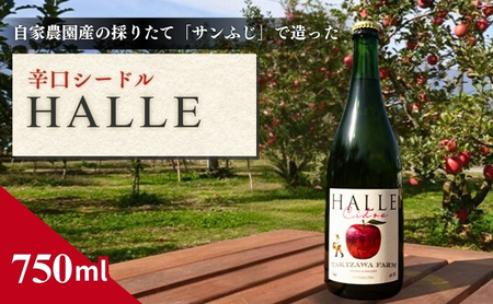 シードル 信州産りんご 辛口 HALLE 750ml 1本 シードル