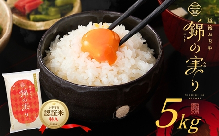 令和7年産 魚沼産コシヒカリ ブランド認証米「錦の実り」特AランクとAランク 食べ比べ10kg(5kg2袋)【0002-0395-01】