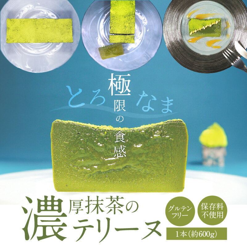 【ふるさと納税】濃厚 抹茶 テリーヌ 600g 手作り グルテンフリー 保存料不使用 スイーツ デザート おやつ なめらか 濃厚でも苦すぎないシェフイチオシの自信作 冷凍 国産 西尾抹茶 愛知県 碧南市 お取り寄せ お取り寄せスイーツ 送料無料