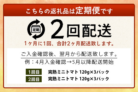 【2回定期便】【先行受付】2027年1月より順次発送予定【少量パック】完熟ミニトマト 360g (120gx3p) | トマト プチトマト 野菜 農家直送 ギフト 人気 佐賀県鹿島市 たにぐちファーム