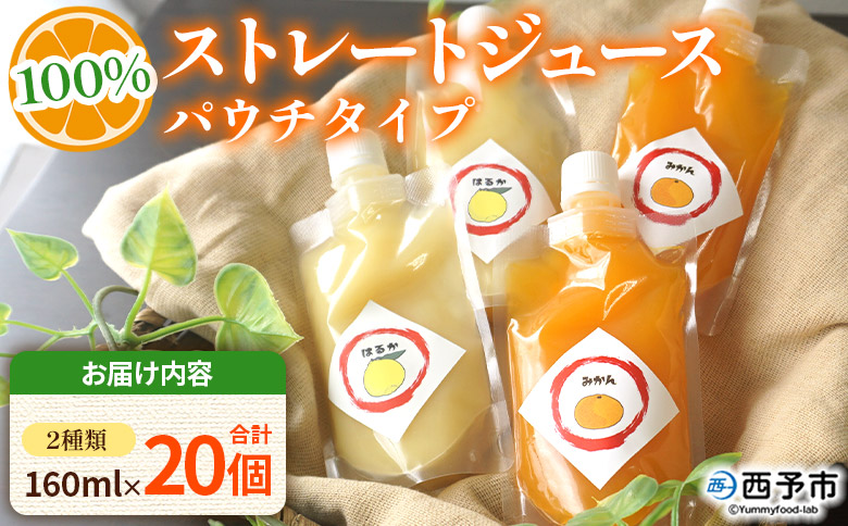 ＜100％ストレートジュース パウチタイプ 160ml×20個（2種類×10）＞『1か月以内に順次発送予定』種類はおまかせ 飲み比べ セット 果物 くだもの フルーツ 柑橘類 みかん 蜜柑 ミカン み