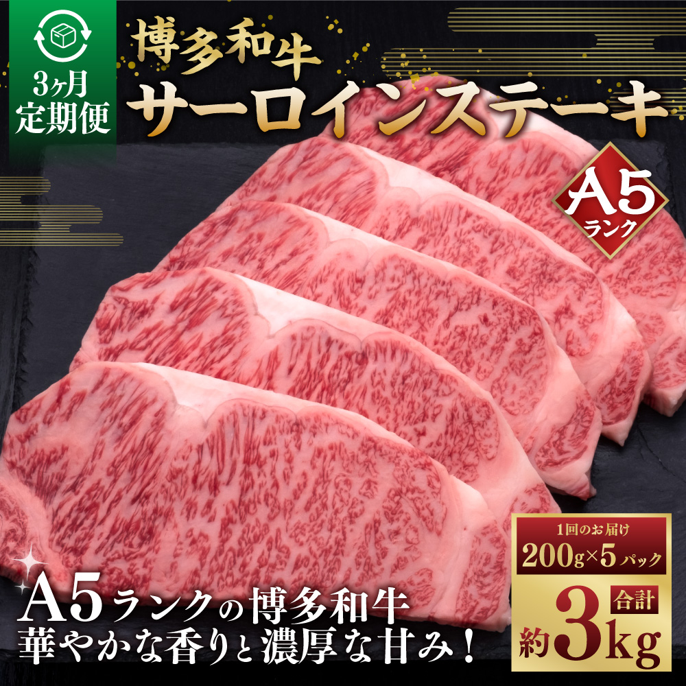 【3ヶ月連続定期便】A5等級 博多和牛サーロインステーキ 200g×5枚 肉 牛肉