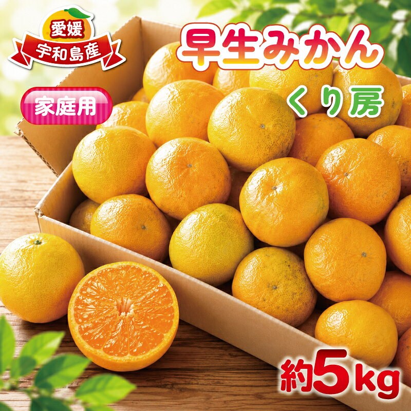 【ふるさと納税】 家庭用 早生みかん 約 5kg くり房 早生 みかん わせみかん 愛媛みかん 愛媛蜜柑 蜜柑 mikan 果物 くだもの フルーツ 柑橘 数量限定 産地直送 国産 愛媛 宇和島 B012-204003