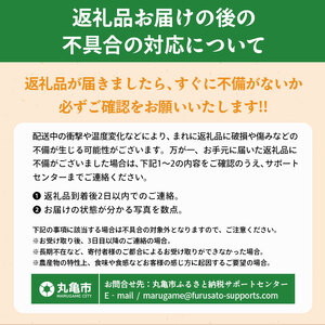 先行予約 キウイフルーツ 香緑 約750g キウイ