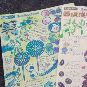 ぐらいん手ぬぐい「山梨市宝づくし・紅葉の西沢渓谷」計2枚【1683224】