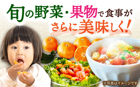 【5回定期便】旬の農産物 梨コース / 野菜 やさい 果物 くだもの フルーツ ふるーつ 産地直送 なし 梨 ナシ 農産物 フルーツ定期便 / 大村市 / おおむら夢ファームシュシュ[ACAA121]