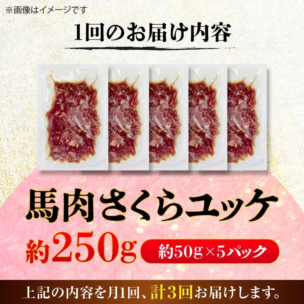 全3回定期便 馬肉さくら ユッケ 約250g ユッケ BHCY030