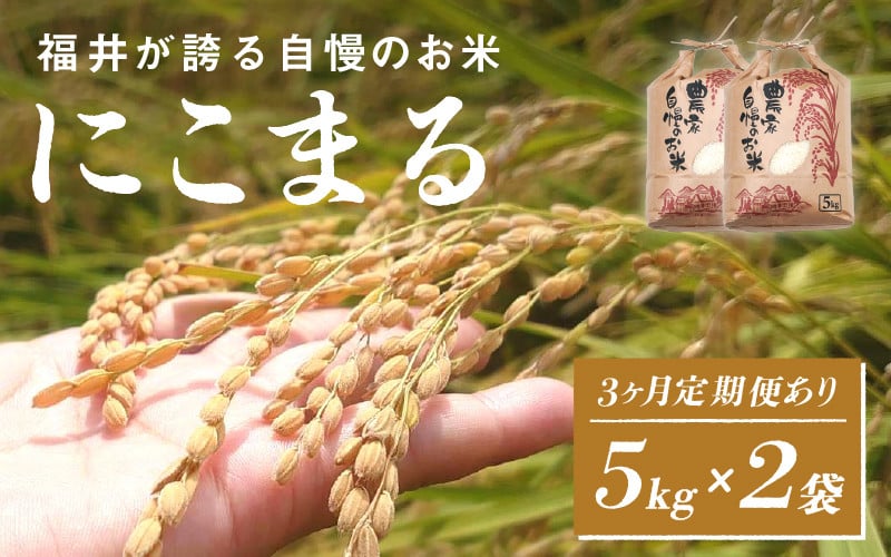 
            ＜2025年11月以降 順次発送予定＞【定期便あり！】令和7年産 にこまる　5kg×2袋（計10kg）[G-10104] / お米 新米 精米 ご飯 ごはん 米農家 農業男子 鮮度抜群 福井県鯖江市 先行予約
          
