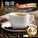 【ふるさと納税】毎月届く！コーヒー500g 定期便6ヶ月コース（100グラム×5）豆コース/粉コース