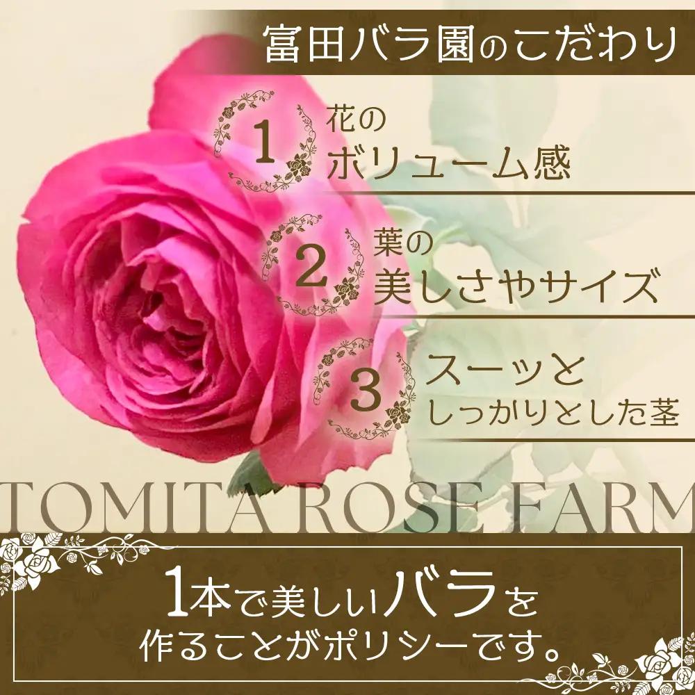 【日付指定必須・ギフト対応可】 夏季限定 ばら農家直送！バラ花束40本以上お届け(色はおまかせ) TB-8│ローズ 新鮮 花 フラワー 花束 ばら 薔薇 バラ 誕生日 記念日 結婚祝い ギフト プレゼ