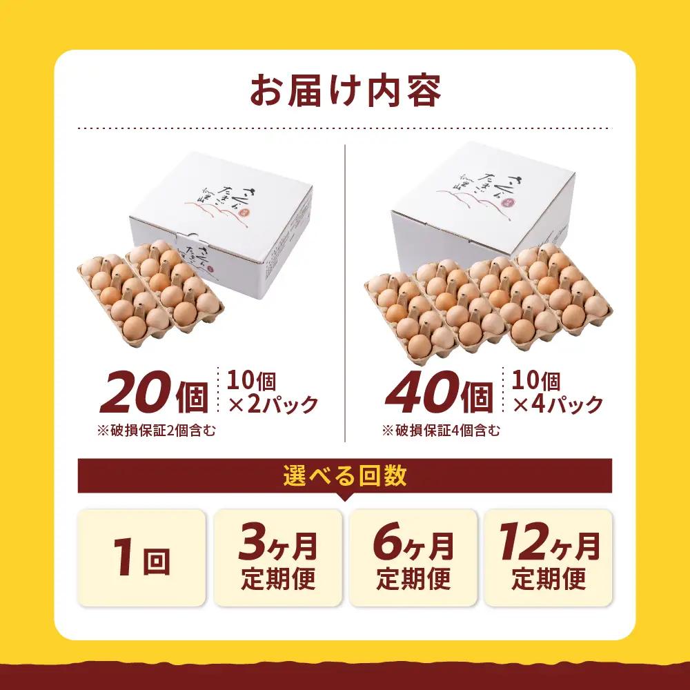 【定期便 12ヶ月】純国産鶏さくらたまご 40個｜定期便 FN-Limited-PR