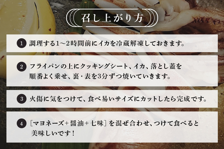 イカ 干物 5枚セット ソフト 干物 ふっくら 海人 漁師 いか トビイカ 美味しい 冷凍 お酒 の おつまみ 海鮮 沖縄 糸満市 ノアーズアーク 11000円 1万1千円