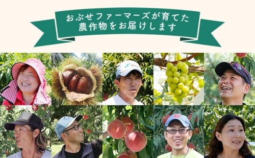 地の利を生かし愛情込めて育てた果物をお届けします。