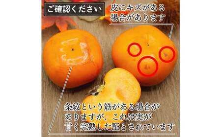 秋のフルーツの王様 ブランド柿 「 秋王 」 化粧箱 約1.75kg 6個入り【2026年10月下旬～11月下旬発送予定】