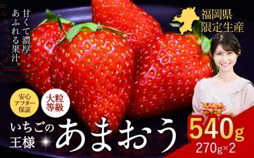 ★2026年出荷分★【先行予約】あまおう いちご 540g 苺 送料無料 【着日指定不可】《2月中旬-4月末頃出荷》 イチゴ 果物 フルーツ 福岡県 鞍手郡 小竹町