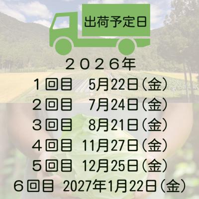 ふるさと納税 京都市 <定期便6回>【よしだのはたけ】旬の野菜8品 やさいBOX |  | 03