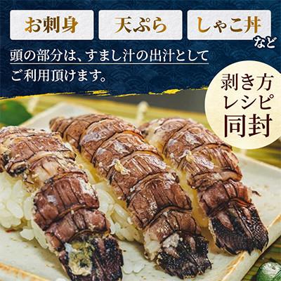 ふるさと納税 小樽市 小樽産 浜茹でしゃこ オス5尾×1パック・メス5尾×1パック　しゃこを刺身・天ぷら・海鮮丼の具に! |  | 01