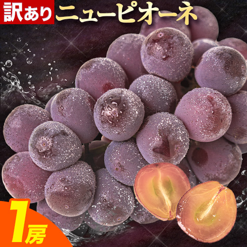 【先行予約】訳あり ニューピオーネ 約600g 1房 ブドウ 葡萄 果物 秋旬 訳あり 優品 厳選出荷 フルーツ デザート 岡山県 浅口市《8月下旬‐10月中旬頃出荷》ニューピオーネ