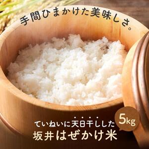 ＜直売所「まんだらの庄」＞坂井はぜかけ米（5ｋｇ）