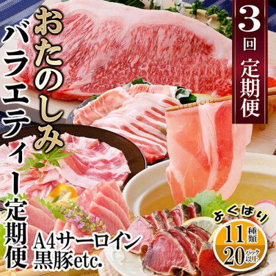 定期便(3回配送)　お楽しみバラエティー定期便 LL−6017【配送不可地域：離島】【1499420】