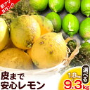 【ふるさと納税】【訳ありBランク】皮まで安心レモン選べる 内容量 1.8kg 2.7kg 4.5kg 9.3kg 黒潮フルーツファーム《10月中旬-4月中旬頃出荷》和歌山県 紀の川市 レモン