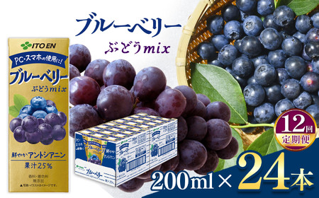 【定期便12回】紙ブルーベリーミックス２００ｍｌ　２４本入り