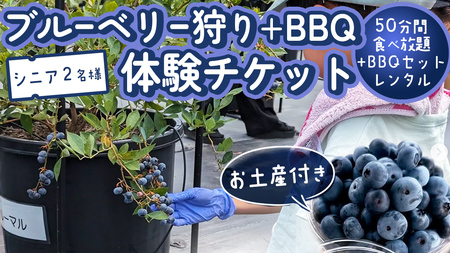 【寄附受付は2025年8月5日まで】 ブルーベリー狩り ＋ DAYキャンプ 体験チケット 《シニア２名様プラン レンタルBBQ道具＋お土産付き》 ブルーベリー ベリー 食べ比べ 食べ放題 収穫 収穫体験 キャンプ BBQ バーベキュー 肉 旅行 レンタル 体験 チケット 招待券 レジャー 観光 シニア ふれあい お土産 おみやげ 持ち帰り テイクアウト 多品種 果実 果物 くだもの フルーツ 自然体験 農業体験 茨城県 桜川市 [DZ017sa]