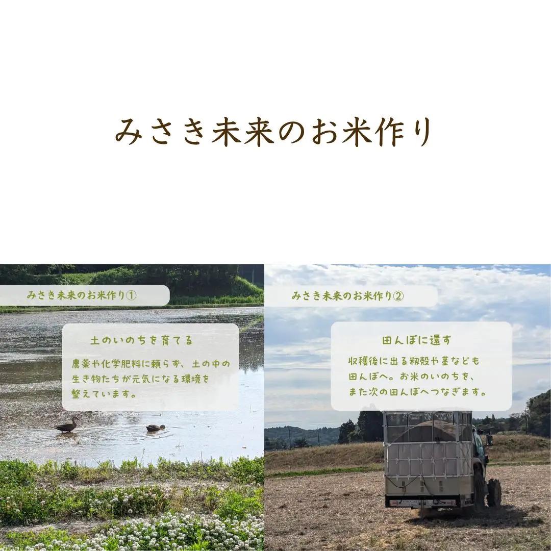 【先行予約】【6か月定期便】つきあかり 白米 60kg (10kg×6回) 令和8年産 | 無農薬 農薬不使用 化学肥料不使用 精米 お米 米 こめ コメ 福島産 福島県産 南相馬市 みさき未来 つき