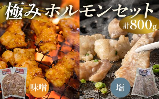 極みホルモンセット 合計800g(塩ホルモン 400g・味噌ホルモン 400g) EB8-0327