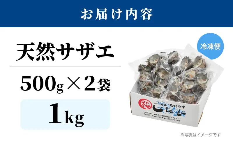【先行予約】越前町産 天然 サザエ 1kg （500g×2袋）【2026年6月中旬より順次発送】【サザエ 海鮮】 [e15-a065]