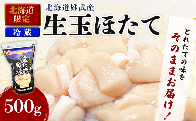 【北海道限定！】北海道雄武町産　生玉ほたて500g塩水パック（冷蔵）｜北海道限定 生玉ホタテ 生ホタテ　大粒 ホタテ 帆立 ほたて 新鮮 500g 生 冷蔵 塩水パック オホーツク 北海道 雄武町 雄武 刺身 魚貝 魚介 海【0712801】