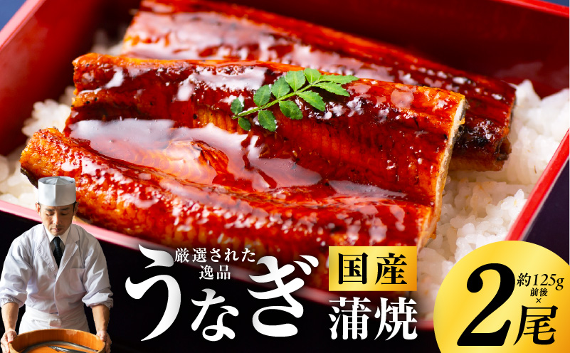 国産うなぎ 約125g×2尾 秘伝のたれ 蒲焼 鰻 ウナギ 有頭 炭火焼き 備長炭 手焼き kgp0039