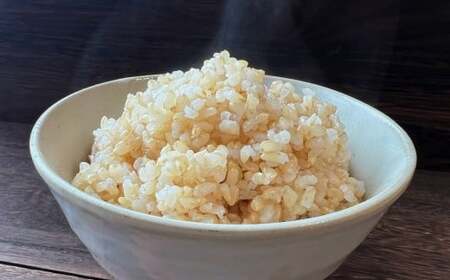 【新米先行予約】 令和8年産 ひとめぼれ 5kg 玄米 ひとめぼれ