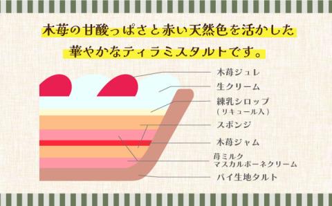 【舌にあふれる季節感♪こだわりのサクサクタルト】木苺 の ティラミス タルト / タルト ティラミス いちご 18cm 南島原市 / アトリエジジ [SAA003]