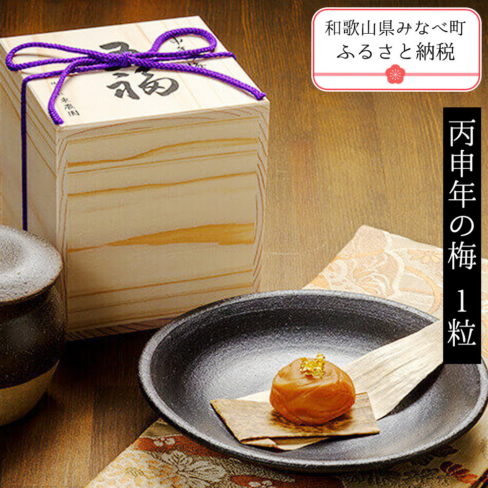 【ふるさと納税】丙申年の梅　1粒 | 梅干し 梅干 梅干 うめ ウメ ギフト 贈答品 贈り物
