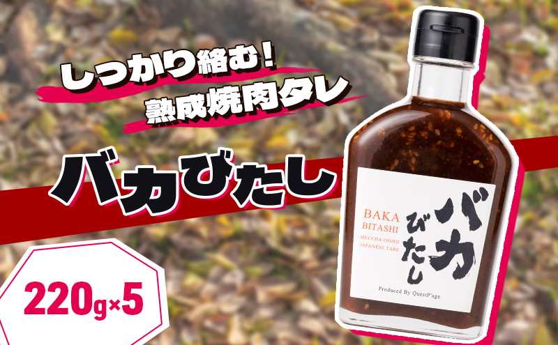 
たれ セット 220g×5本 バカびたし 焼肉のたれ タレ 調味料
