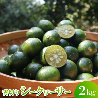 【ふるさと納税】【2026年9月頃から順次発送】道の駅 ゆいゆい国頭が厳選した青切りシークヮーサー2kg【1577570】