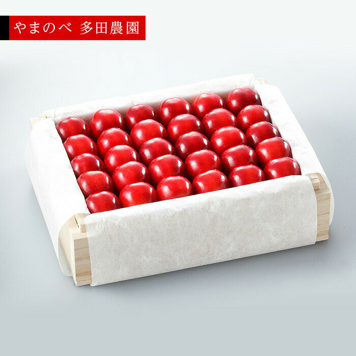 【ふるさと納税】《2026年先行予約》【特選「真夏のルビー紅姫」】桐箱詰 約500g【やまのべ多田耕太郎のさくらんぼ 多田農園】期間限定 数量限定 　7月中旬より発送 山形県産 サクランボ フルーツ 果物 くだもの 贈答 F4A-0040