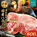 【ふるさと納税】味付け肉の詰め合わせセットA【黒毛和牛サーロインステーキ・国産ハラミ】