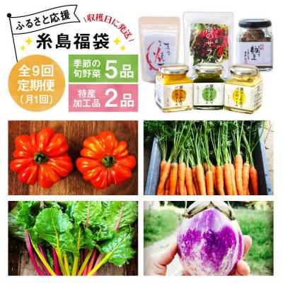 ふるさと納税 糸島市 【全9回定期便】朝採りオーガニック旬野菜5品+糸島産 大ヒット特産加工品2品セット[AGE031]